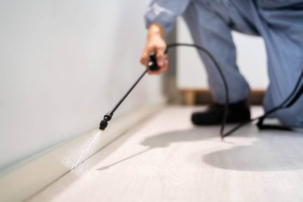 Bed Bug Pre-Treatment Preparation Assessment in Ramona