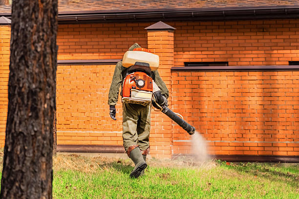 Bed Bug Clearance Verification and Documentation in Ramona